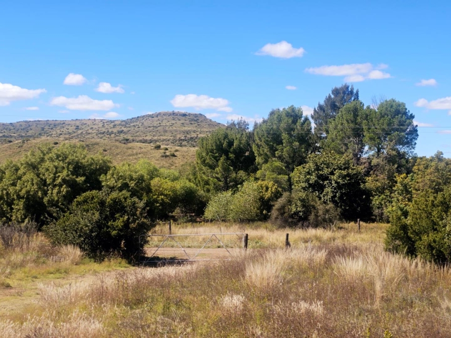 4 Bedroom Property for Sale in Dewetsdorp Free State